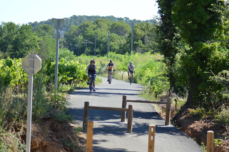 La Vigne à Vélo