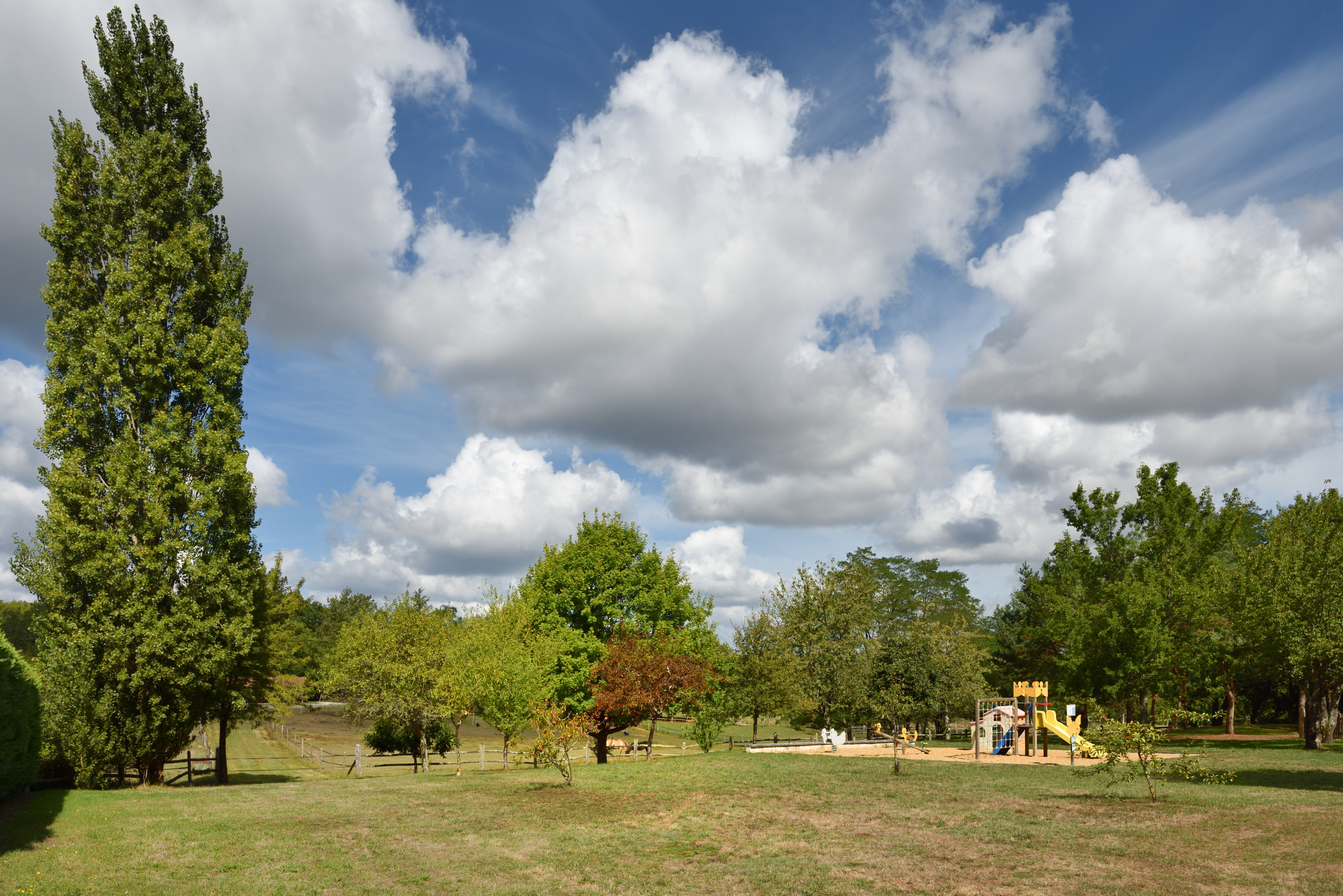 Aire de pique-nique de Rioux-Martin