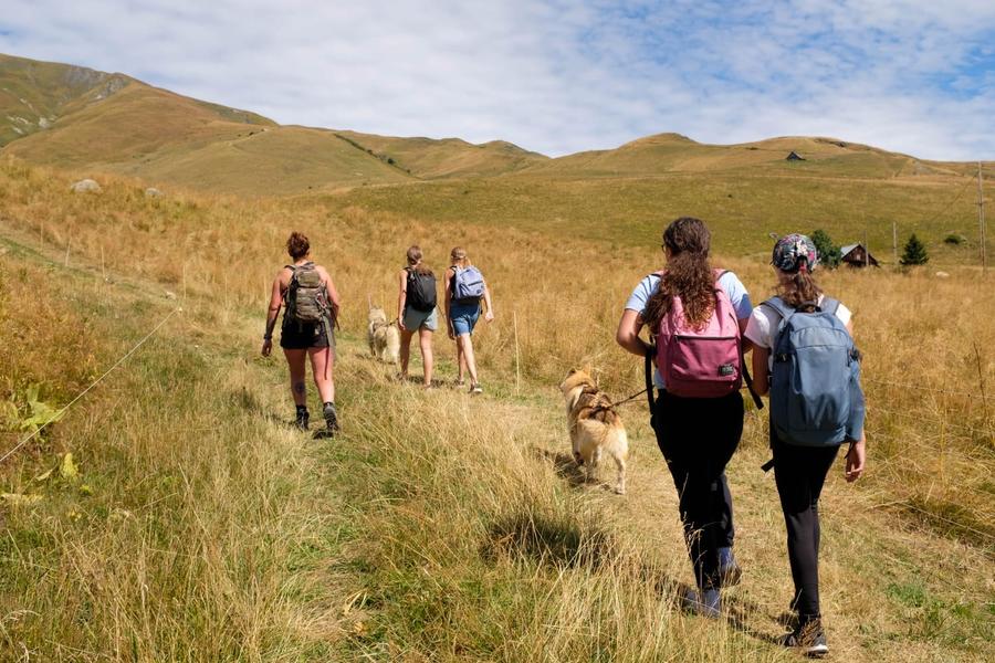 Cani Rando_La Toussuire