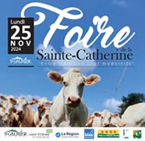 Foire de la Sainte Catherine Le 25 nov 2024