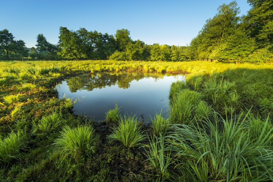 ENS Marais de la Besseye
