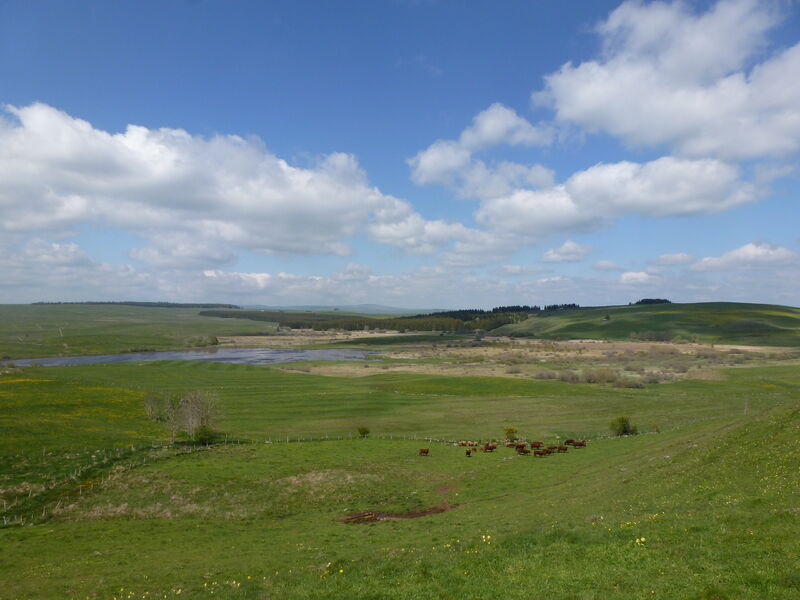 Sortie nature - Découverte de la réserve naturelle régionale des tourbières du Jolan et de la Gazelle