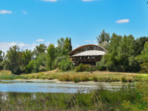 Visite guidée ornithologique à l’Écopôle du Forez_Chambéon