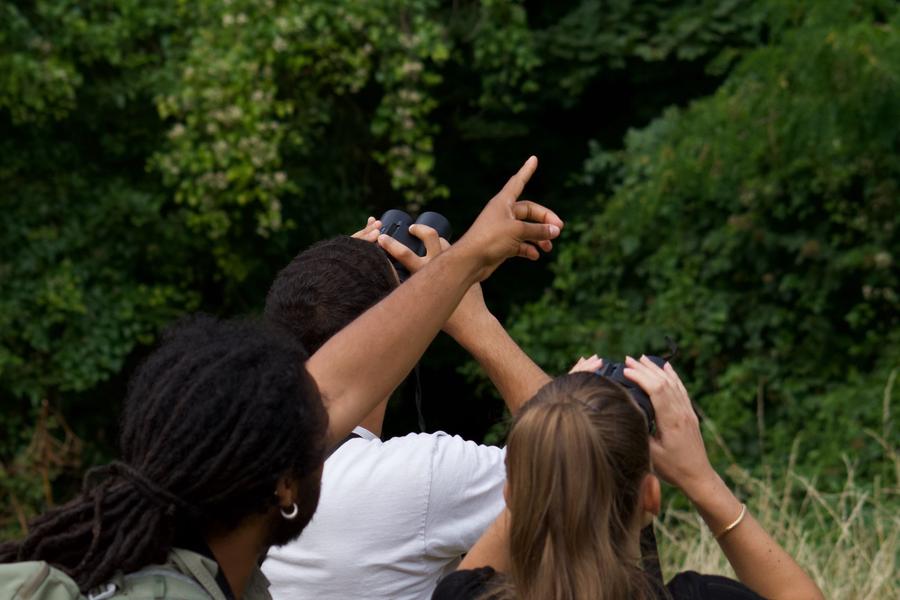 Inventaire naturaliste - Initiation aux sciences participatives 
