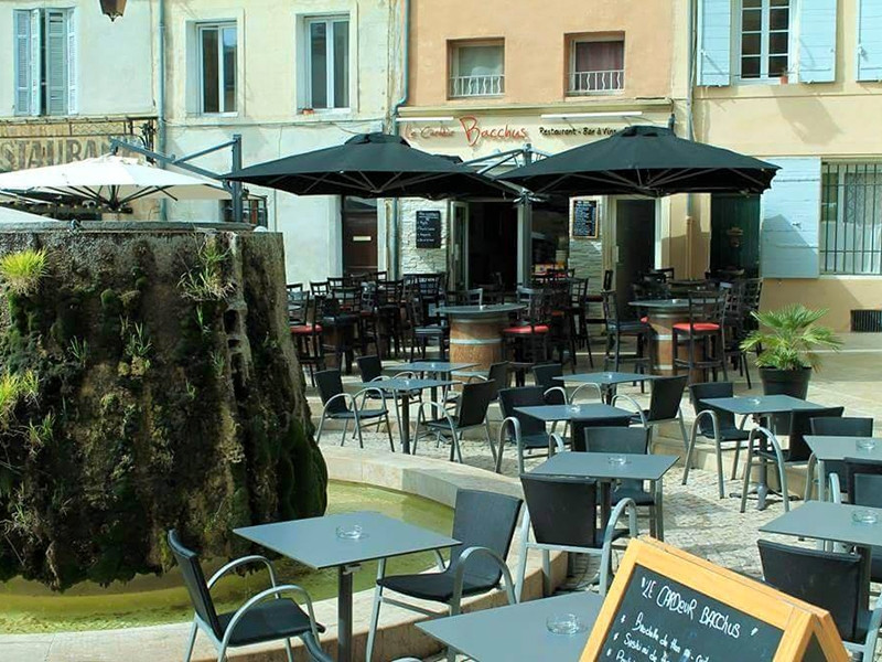 Le Cardeur Bacchus — photo 2