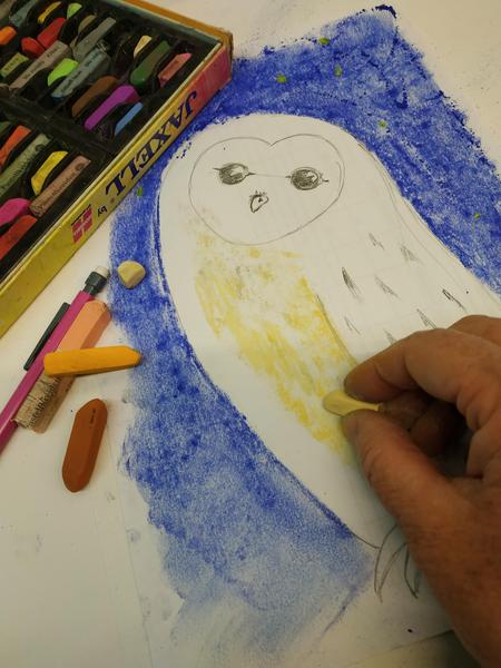 chouette au pastel - © écomusée de la faune Exposition participative 'Oiseaux'_Saint-Léger-les-Mélèzes - © écomusée de la faune