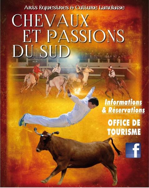 Spectacle équestre Chevaux & Passion du Sud à Cazaubon_Cazaubon