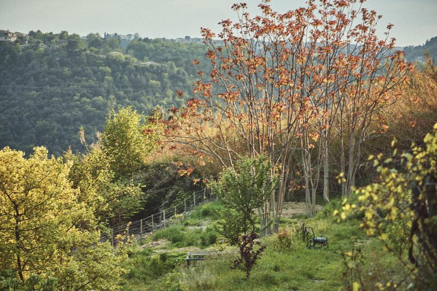 Nature