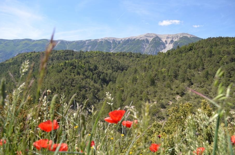 GRP Tour des Baronnies provençales_Buis-les-Baronnies