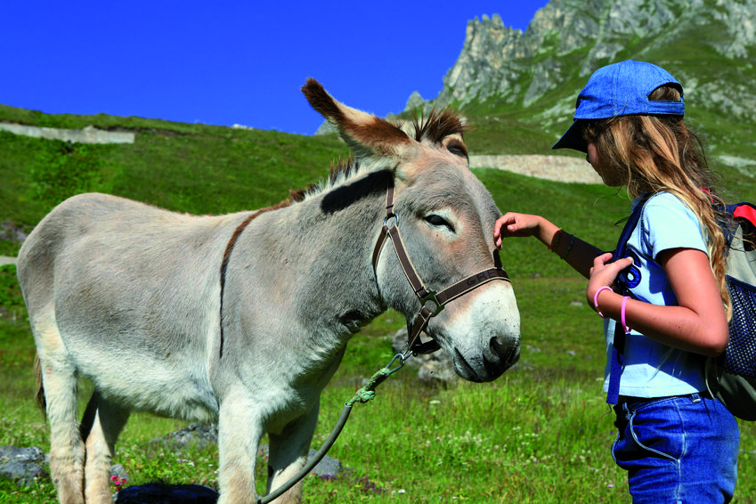 Cie des Guides JUNIORS - Programmes été Kids 8/12ans