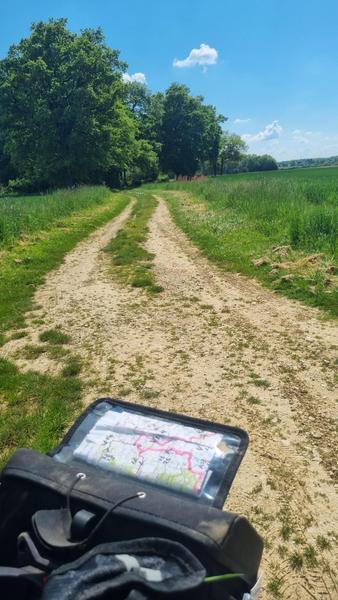 Circuit VTT n°24 (rouge) - La St Martin_Montrevel-en-Bresse