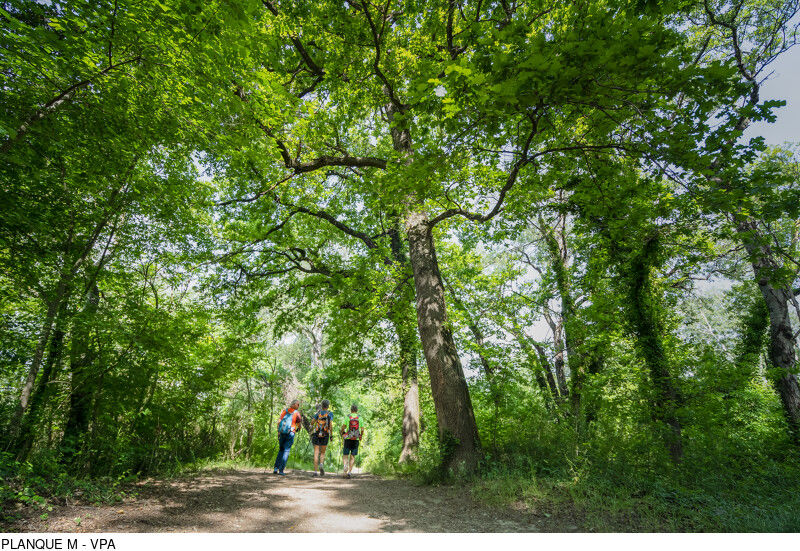 randonnée à l'Islon saint Luc à Chateauneuf du Pape