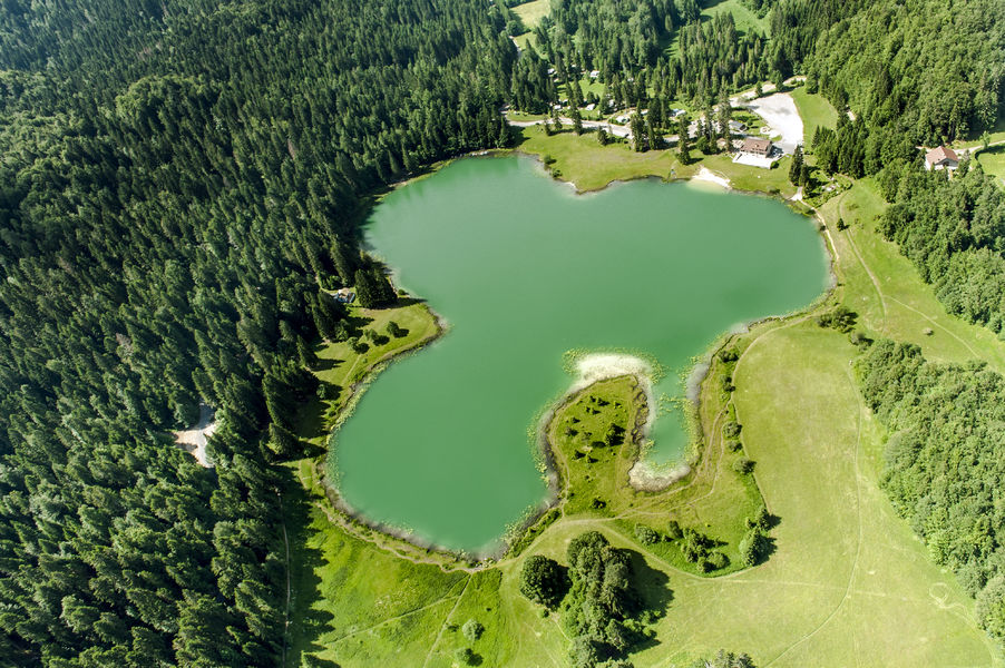Lac Genin