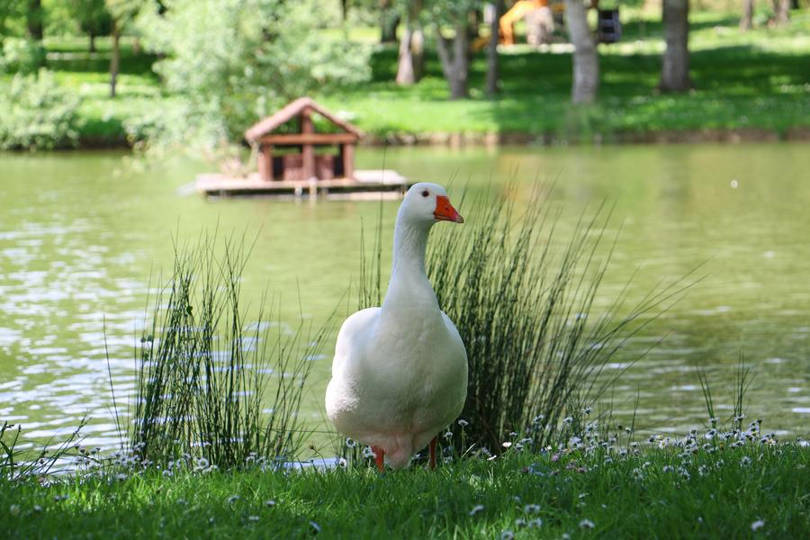 Parc de la Varenne