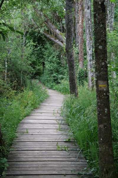 Le chemin des Marais