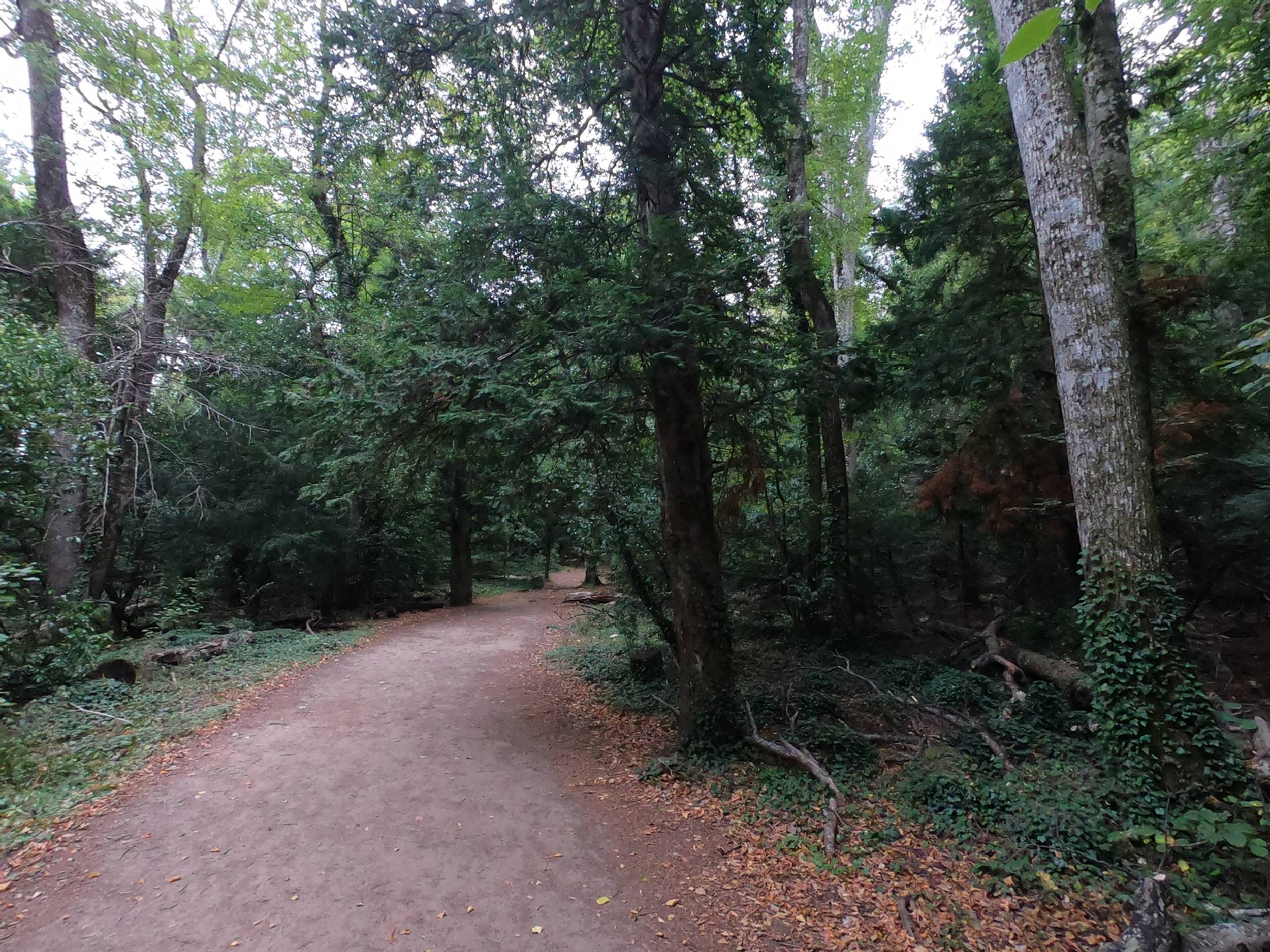 La Voie Royale, Saint-Zacharie - photo 6
