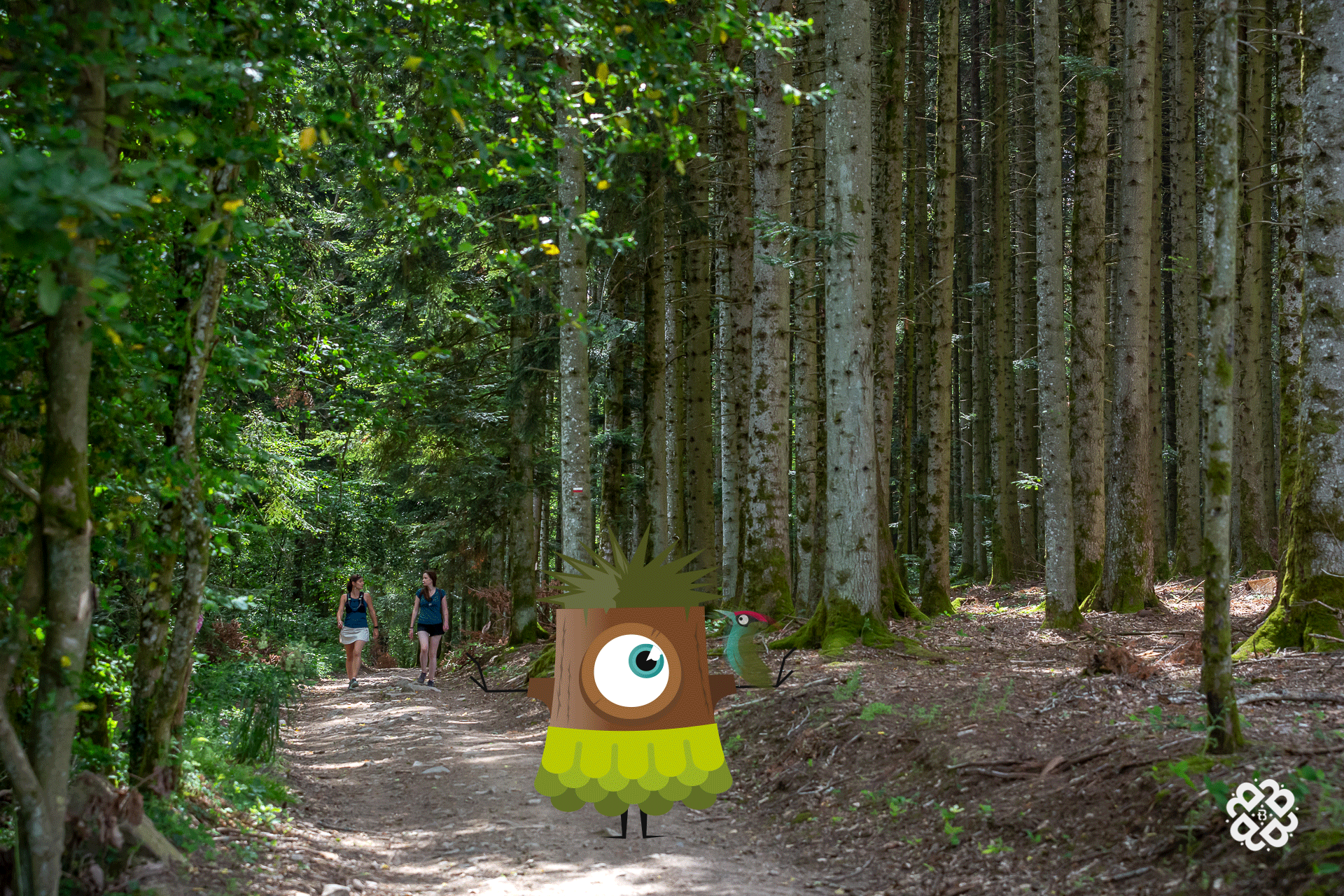 Parcours Mont Saint-Rigaud