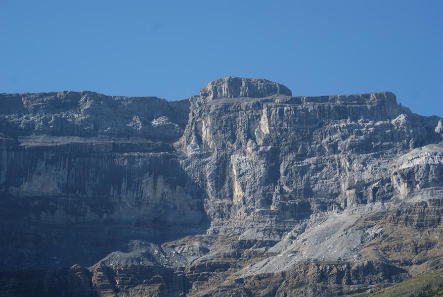 Image Photo JOHLA ROC APIDAE