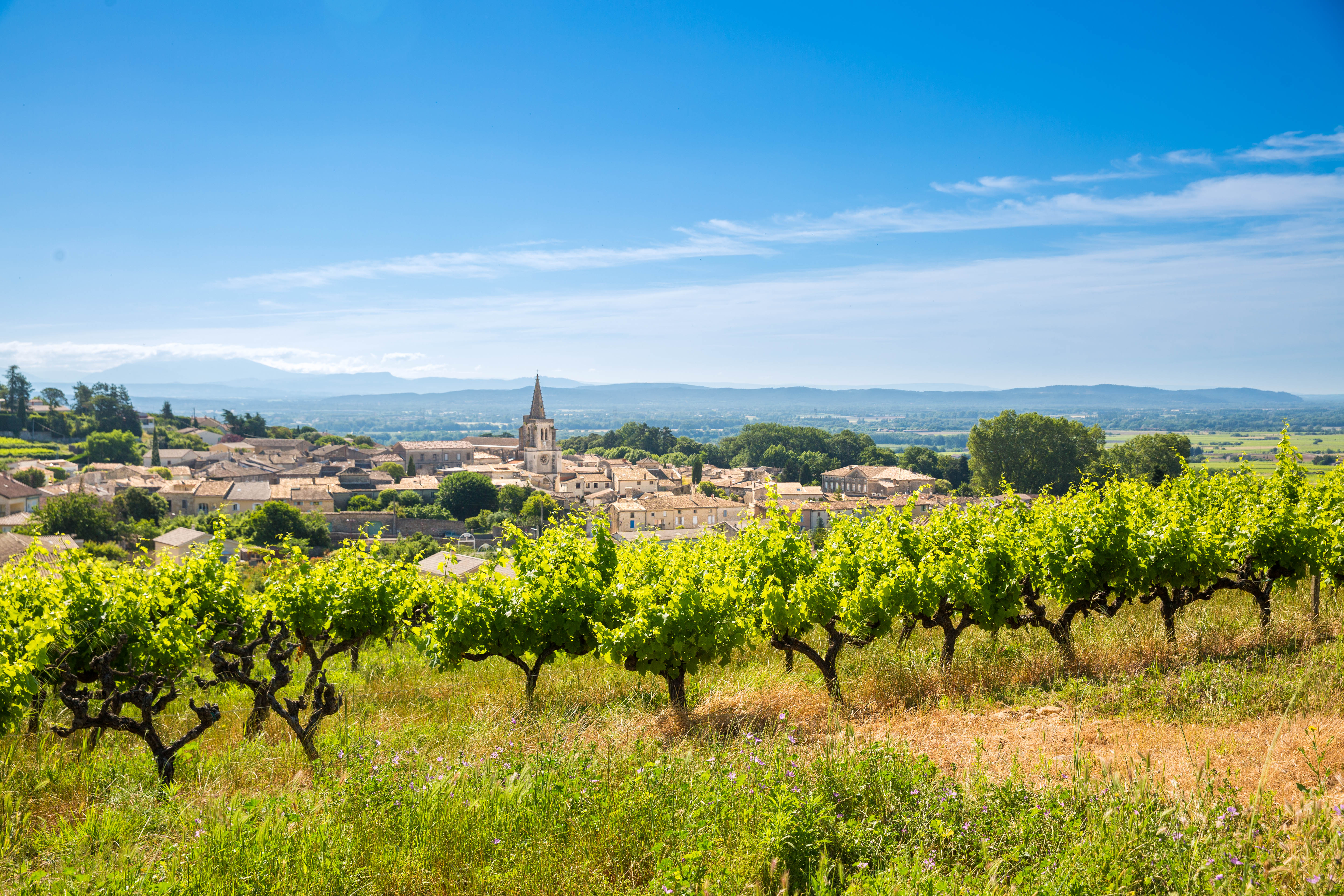 Le Pigeonnier-St-Marcel-d'Ardèche- Cote du Rhone St-Andéol Ardèche -©Marina Geray(17)
