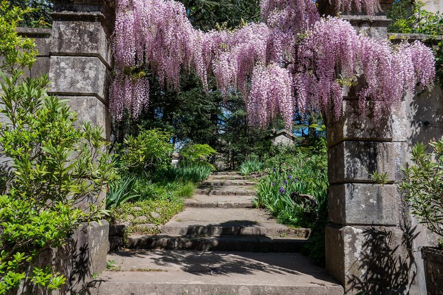 Prades - Glycines vers le calvaire et les chapelles sainte croix et notre dame des douleurs©sourcesetvolcans Prades - Glycines vers le calvaire et les chapelles sainte croix et notre dame des douleurs©sourcesetvolcans