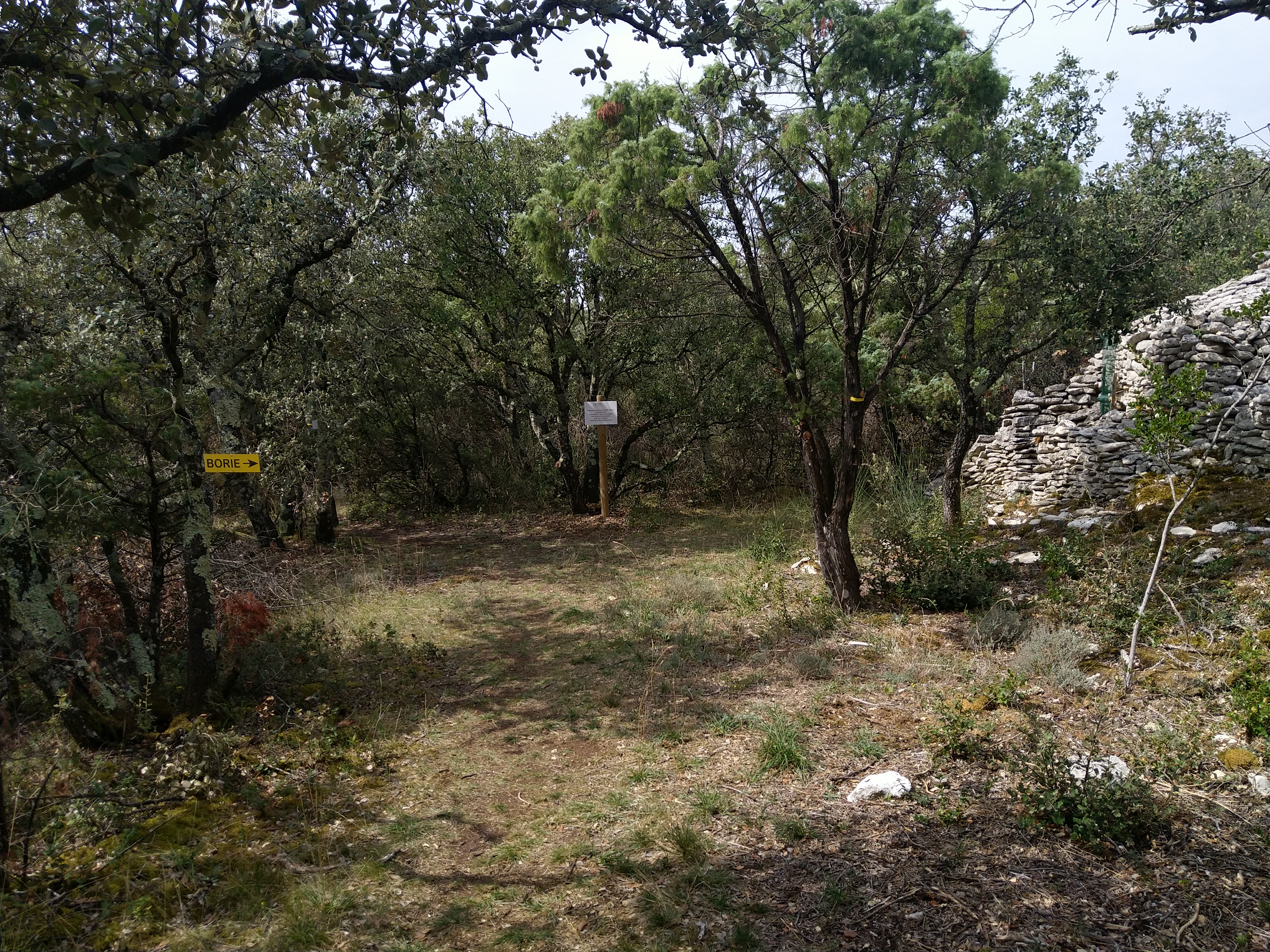 Parcours Santé Taulignan