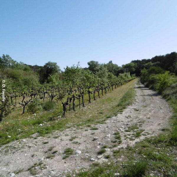 Les carrières de Sainte Juste