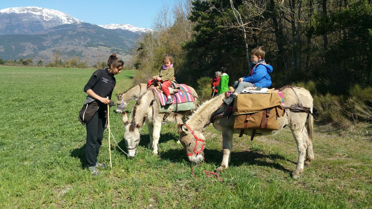 Randonnée et Bivouac avec des Anes - Séjour sans voiture