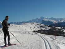 Skieur sur les pistes de Joux plane