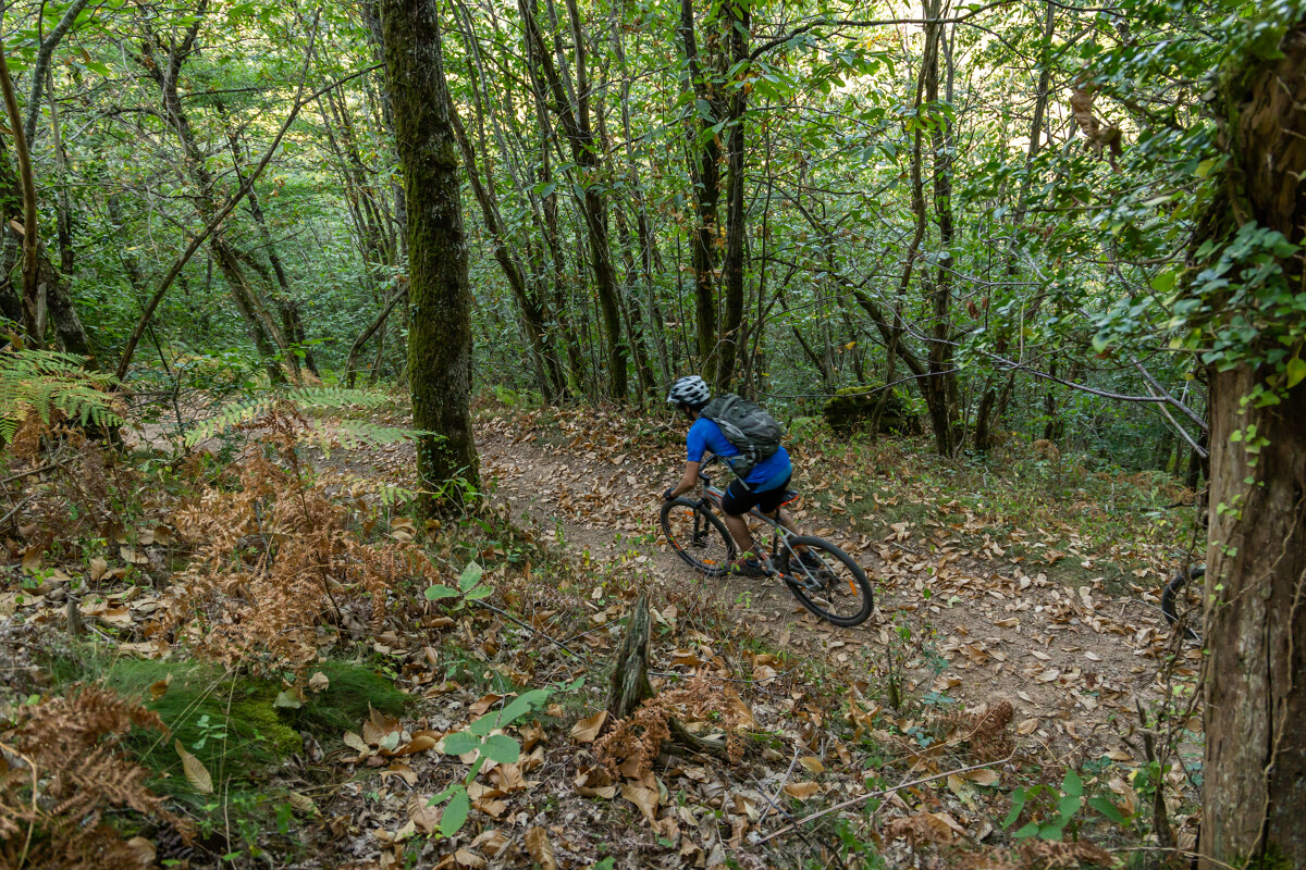 VTT FFC