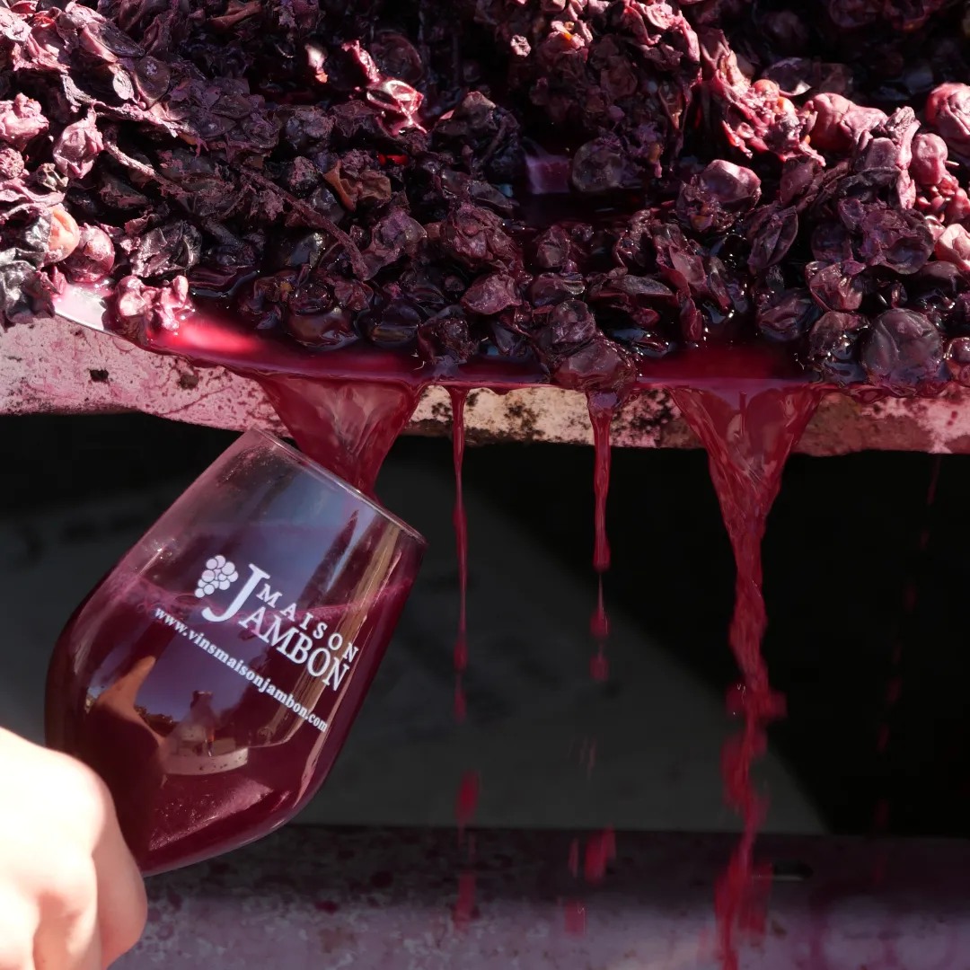 Vin nouveau MAISON JAMBON
