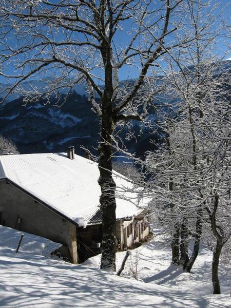 Le Tilleret et la Haute Chaine
Matinée d'hiver Le Tilleret et la Haute Chaine
Matinée d'hiver