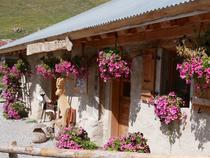 Refuge fleuri