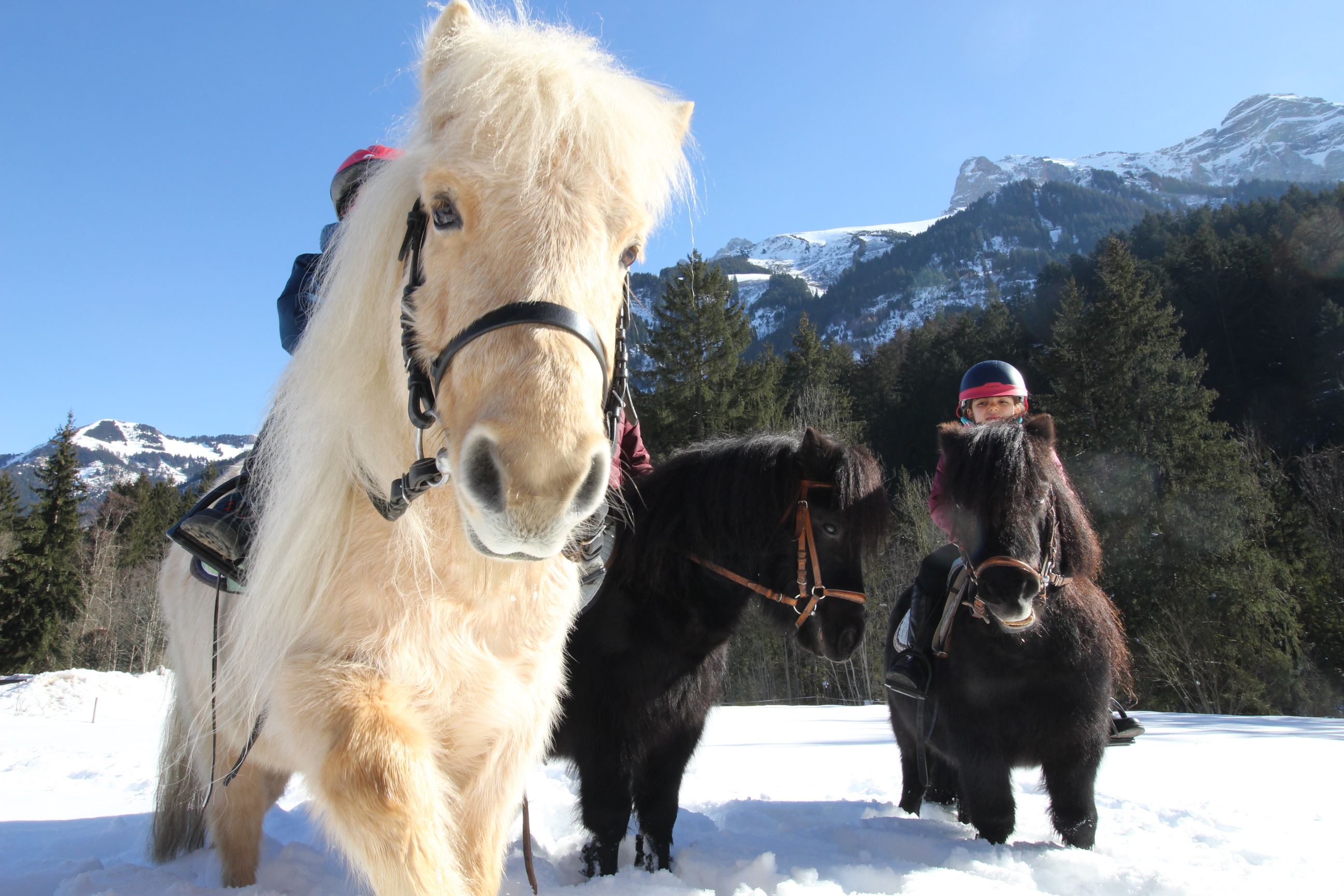 Carnaval au Centre �questre