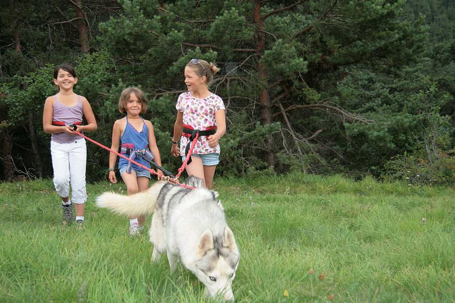 Randonnée avec les chiens de traineaux Husky Adventure