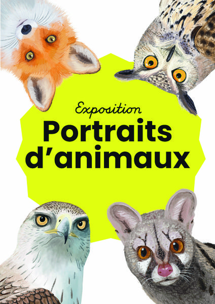 Exposition 'Portraits d'animaux', de Céline Erio des éditions Petit Gabian - © Exposition 'Portraits d'animaux', de Céline Erio des éditions Petit Gabian Exposition 'Portraits d'animaux', de Céline Erio des éditions Petit Gabian - © Exposition 'Portraits d'animaux', de Céline Erio des éditions Petit Gabian