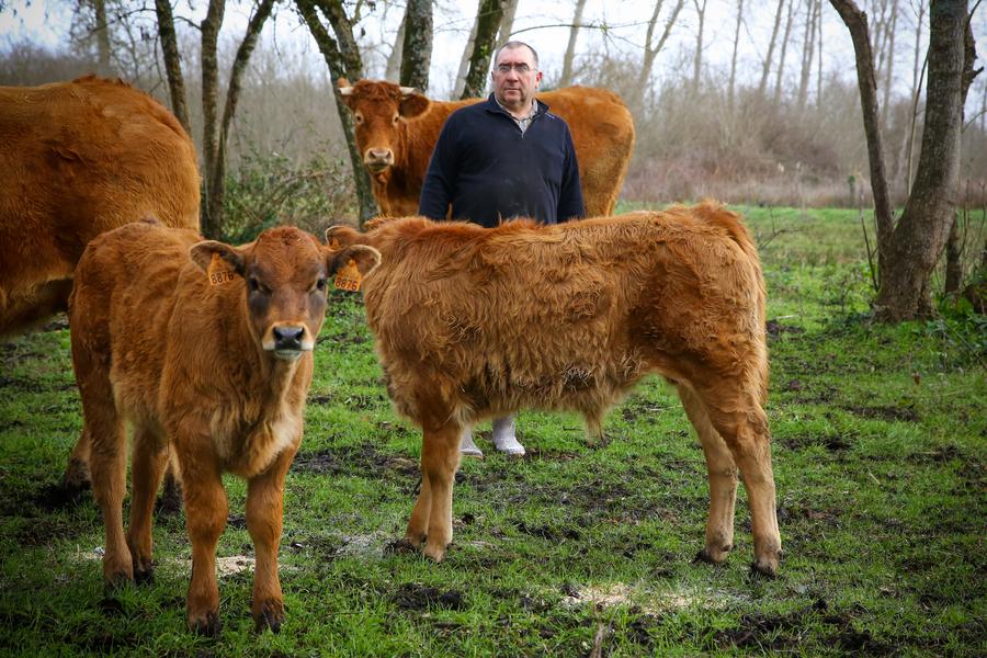 Ferme Maubay