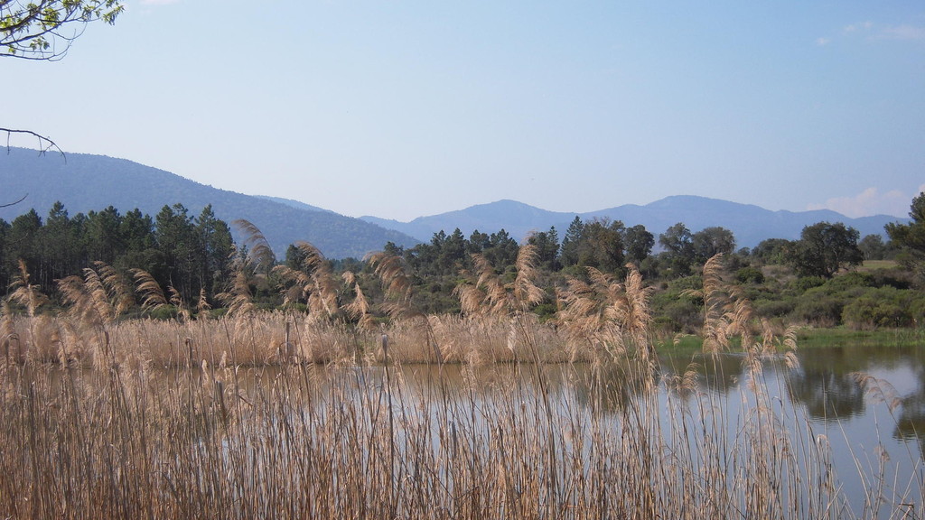 Lac des Escarcets