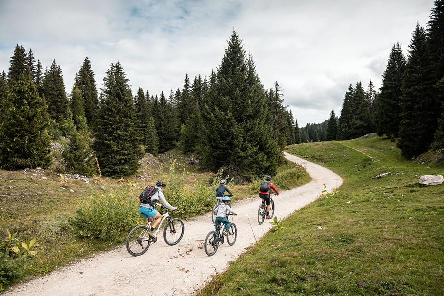 Piste VTT FFC verte 1 - La Féclaz