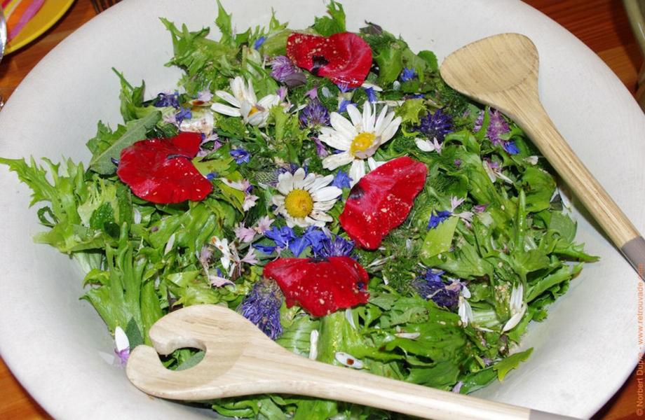 Déguster l'Ardèche et ses plantes sauvages de montagne_La Rochette