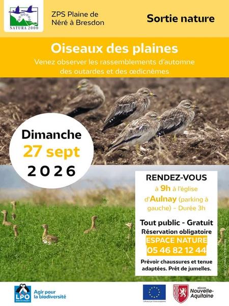 Découverte Oiseaux des plaines