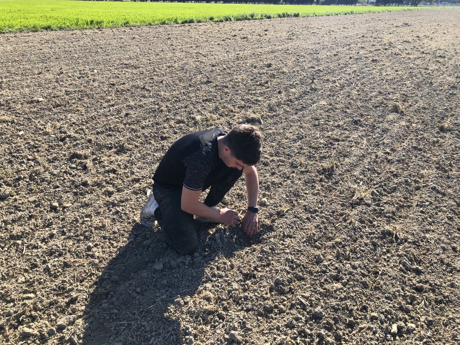 Moulin Mas de Daudet - photo 4