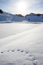 Snowshoe hike on the Pic des Mémises