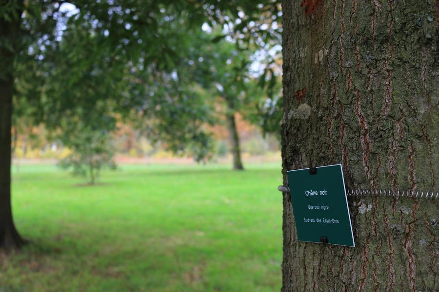 Arboretum de Chatillon-sur-Chalaronne