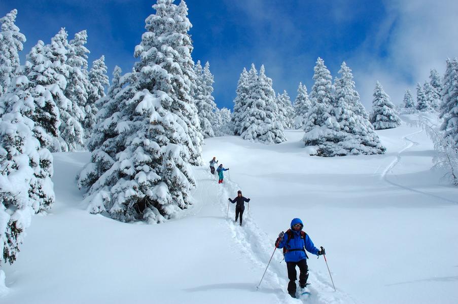 Descente-Compagnie des guides