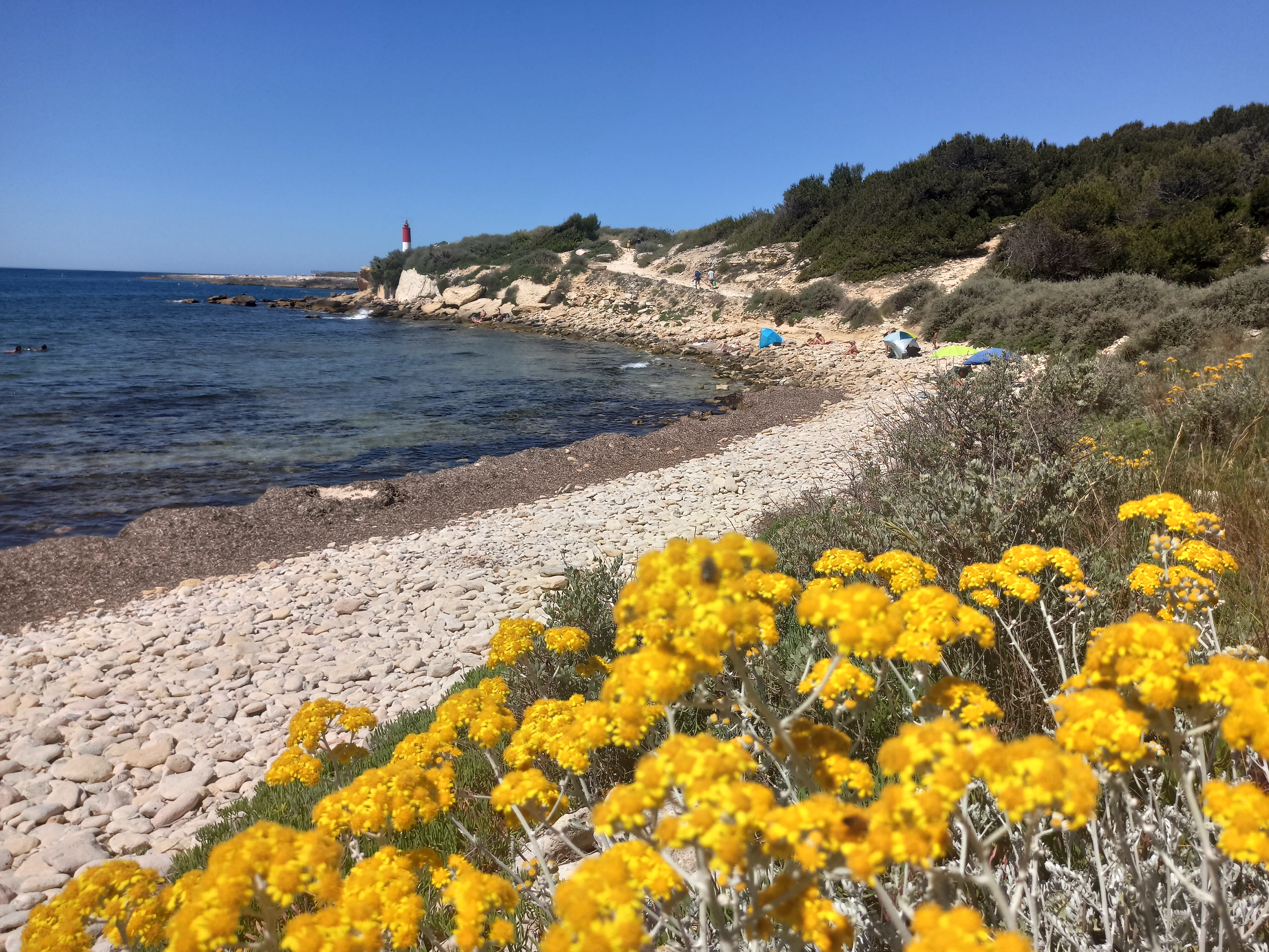 Réserve du Cap Couronne (réserve Richard Fouque), Martigues - photo 5
