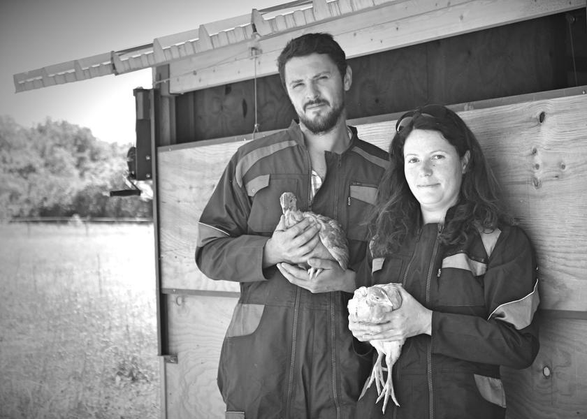 Les Poulets des Templiers - producteur - Courtenay - Balcons du Dauphiné