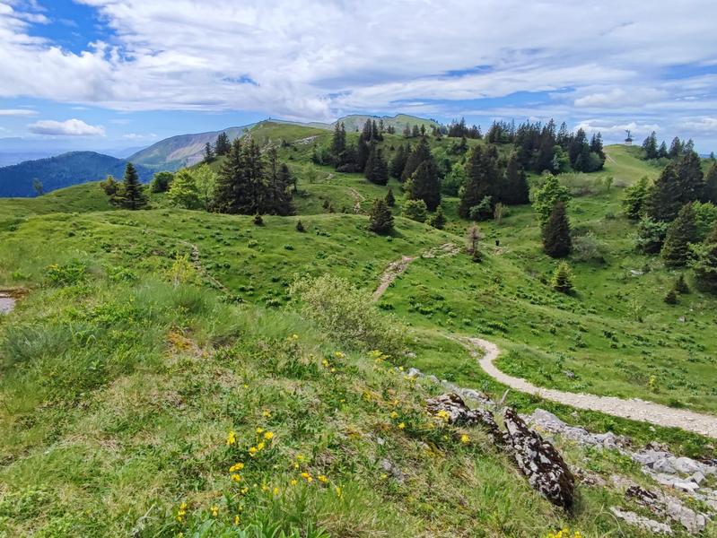 Le Petit Mont-Rond_Gex