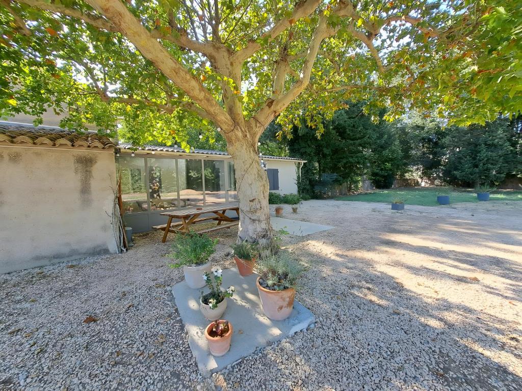 Gîte du Mistralet, Maillane - photo 11