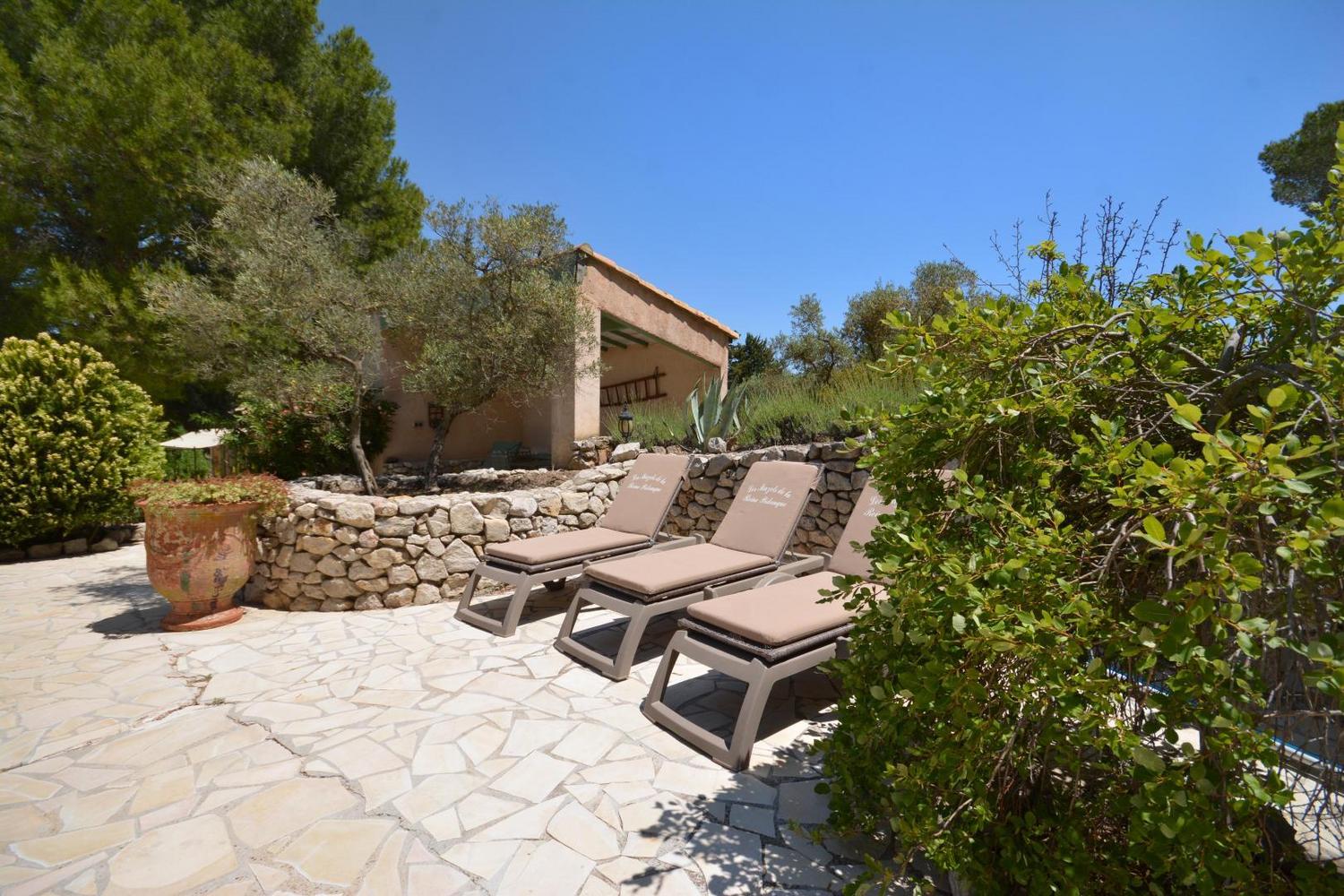 Le Figuier, Paradou - photo 27