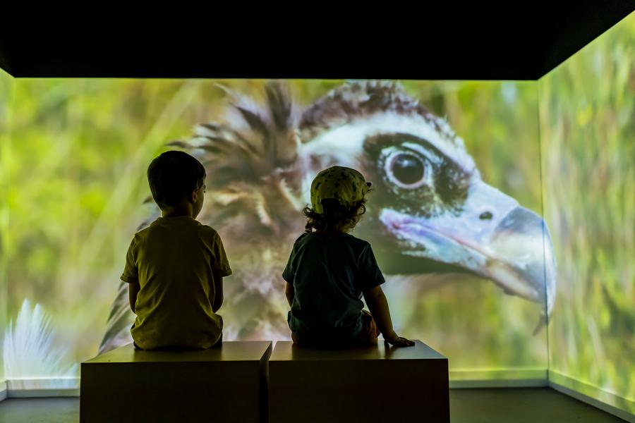 Office de tourisme des Baronnies en Drôme Provençale - Pays de Rémuzat_Rémuzat